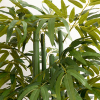 6 FT Artificial Tree Bamboo Tree Fake Plants in Pot for Home Office Living Room Decor, Green
