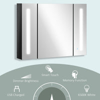 LED Medicine Cabinet with Mirror, Wall Mounted Bathroom Mirror Cabinet with Adjustable Shelves, High Gloss Black