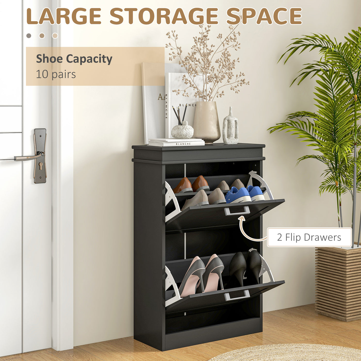 Shoe Storage Cabinet with 2 Flip Drawers and Adjustable Shelves, Narrow Shoe Cabinet for 10 Pairs of Shoes, Black