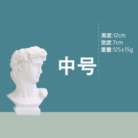 David Creative Portrait Vase Human Head Flower Vases Decorative Ornaments Resin David Home Flowers Art Decor