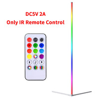 RGB LED Floor lamp Indoor Home Decoration Modern Corner Floor Lamp Living Rome Art Decor Atmospheric Standing Stand Lighting