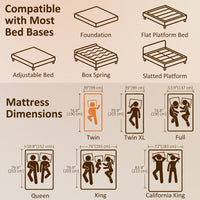 Twin Mattress 6 Inch Memory Foam Mattress in a Box, Pressure Relief & Lumbar Support, CertiPUR-US Certified, Medium Firm