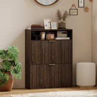 Shoe Cabinet with 2 Flip Drawers Narrow Shoe Storage Cabinet with Top Shelf for Entryway Hallway Coffee